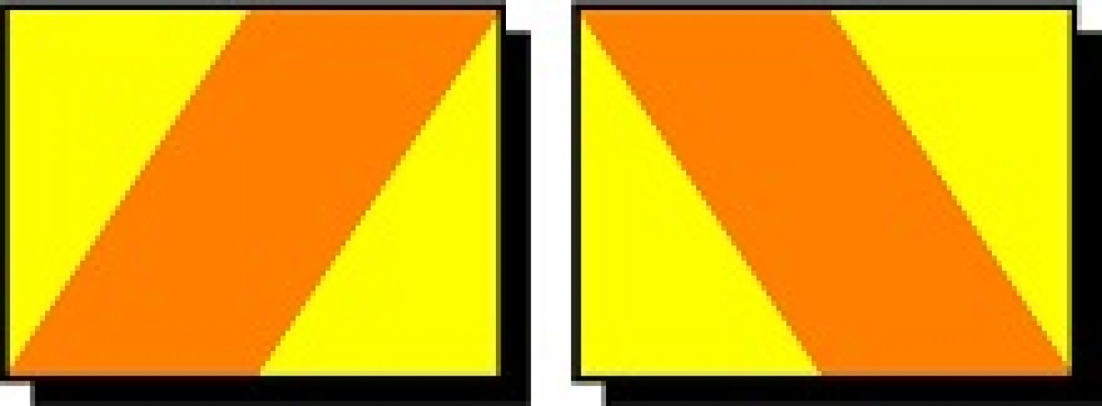 Chevron Hazard Panel (Set of Two)